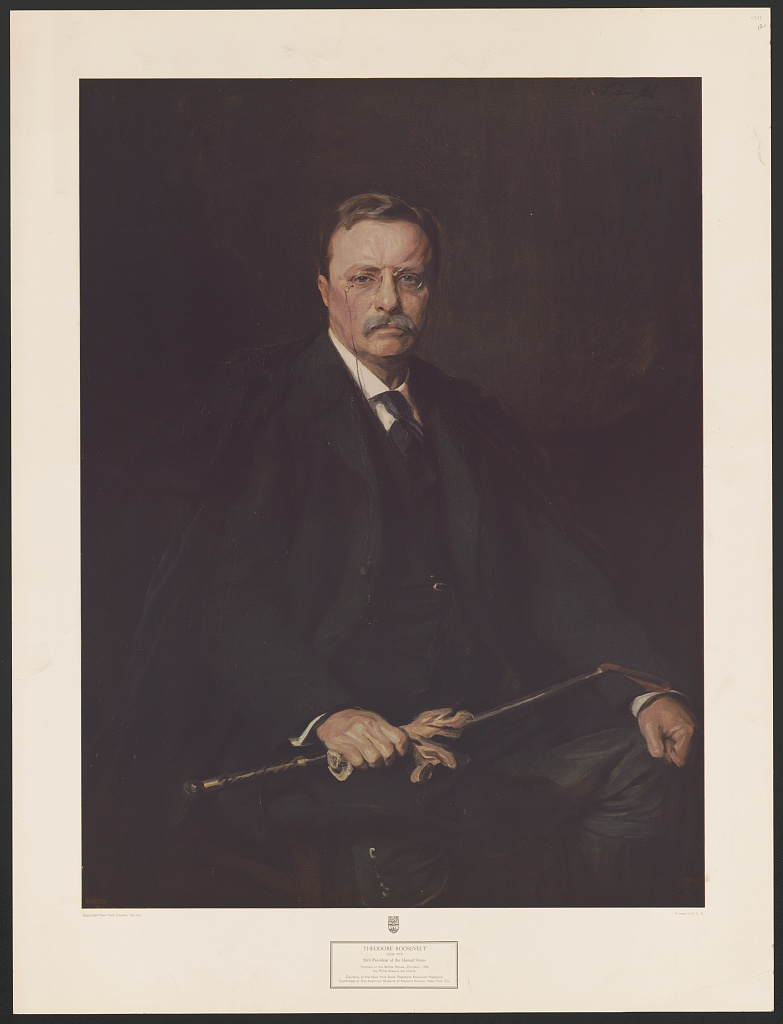 Theodore Roosevelt 26º Presidente dos Estados Unidos